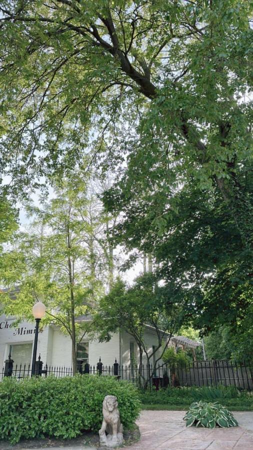 The Ginkgo Tree Acomodação com café da manhã Mount Pleasant Exterior foto