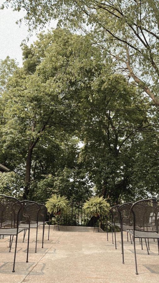 The Ginkgo Tree Acomodação com café da manhã Mount Pleasant Exterior foto